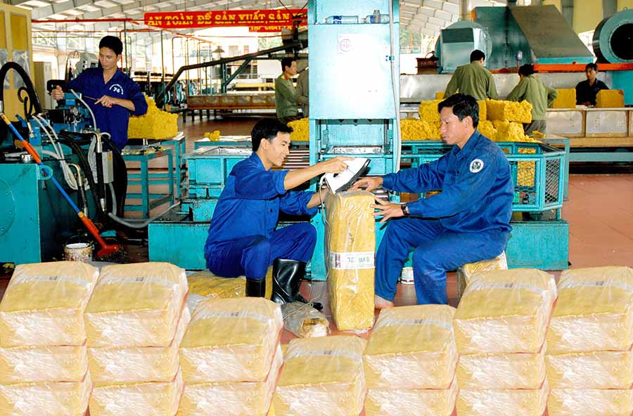 Đồng phục công nhân chế biển mủ cao su | Bảo Hộ Lao Động Việt Phát